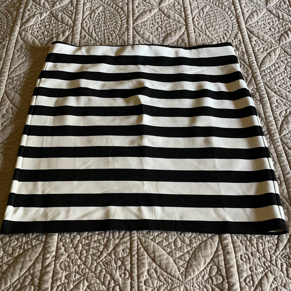 Ann Taylor Loft Skirt